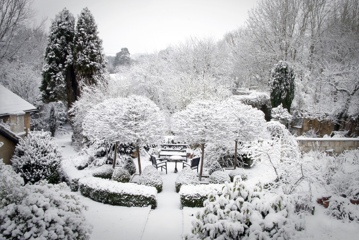 Графика зимнего сада | Ландшафт - Клин | Мощение дорожек, газон, дренаж,  благоустройство участка